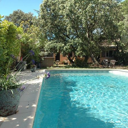 Apartmán La Vigne Et L'Olivier Villeneuve-lès-Avignon Exteriér fotografie