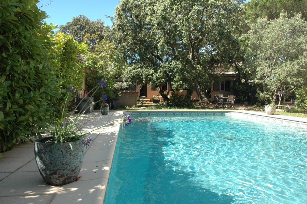Apartmán La Vigne Et L'Olivier Villeneuve-lès-Avignon Exteriér fotografie