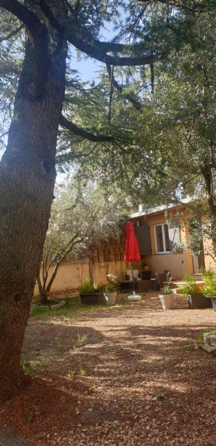 Apartmán La Vigne Et L'Olivier Villeneuve-lès-Avignon Exteriér fotografie