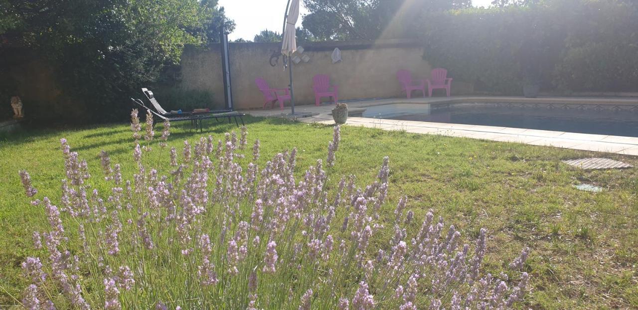 Apartmán La Vigne Et L'Olivier Villeneuve-lès-Avignon Exteriér fotografie